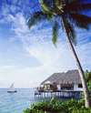 Four Seasons Resort 